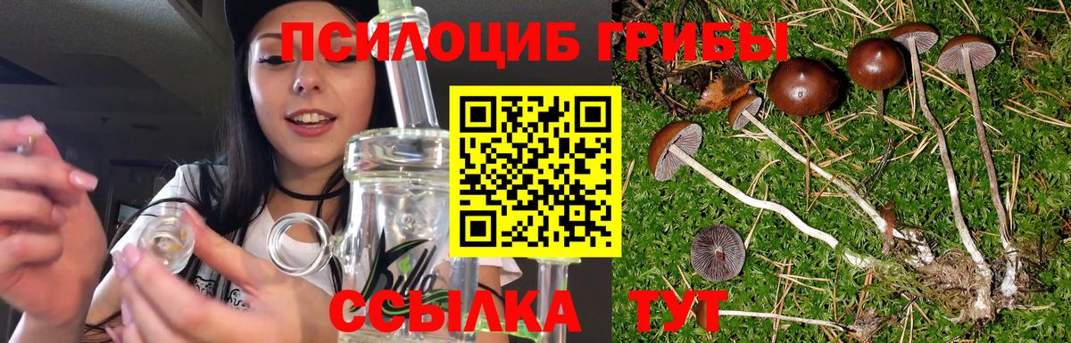 Псилоцибиновые грибы мухоморы Алапаевск